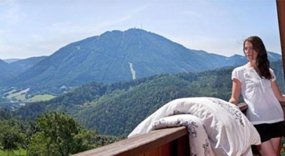 Althammerhof Farm stay *